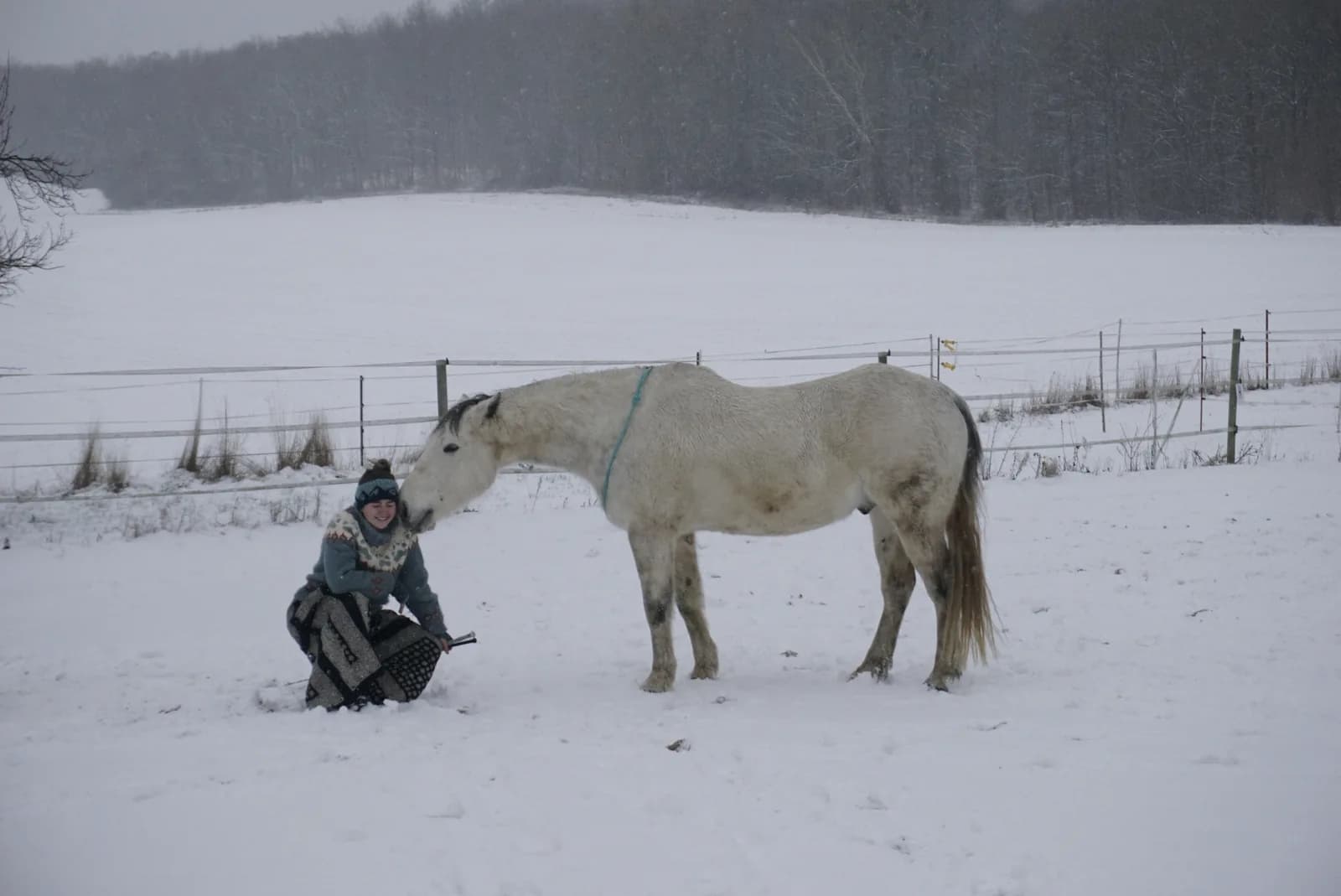 Fiete kniet im Schnee neben einem Schimmel, der neugierig zu ihr kommt