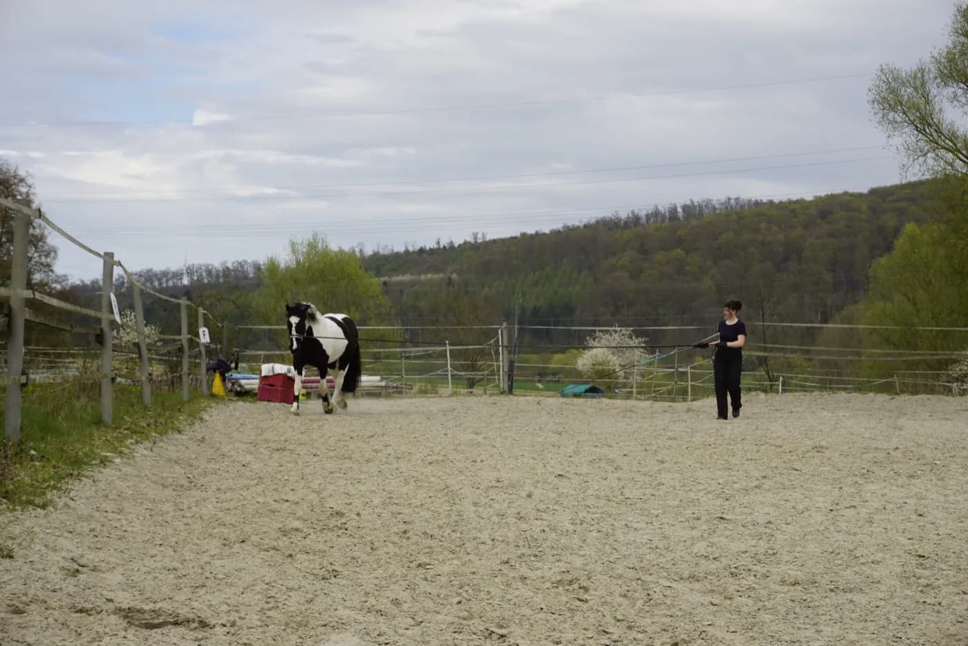 Fiete longiert ein geschecktes Pferd auf einem Sandplatz vor bewaldeten Hügeln