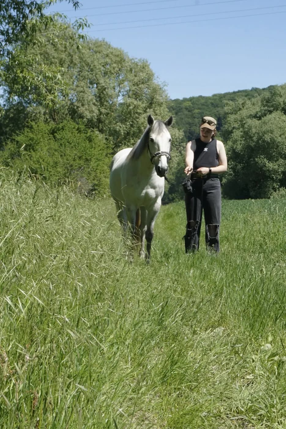 Fiete führt ihren Schimmel Barney durch hohes Gras auf einer sommerlichen Wiese