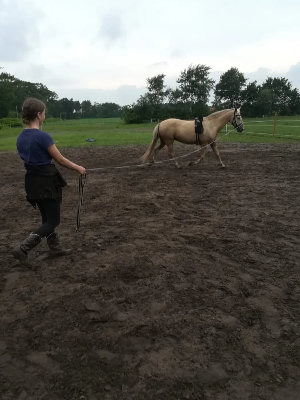 Fiete longiert ein helles Pony auf einem sandigen Platz