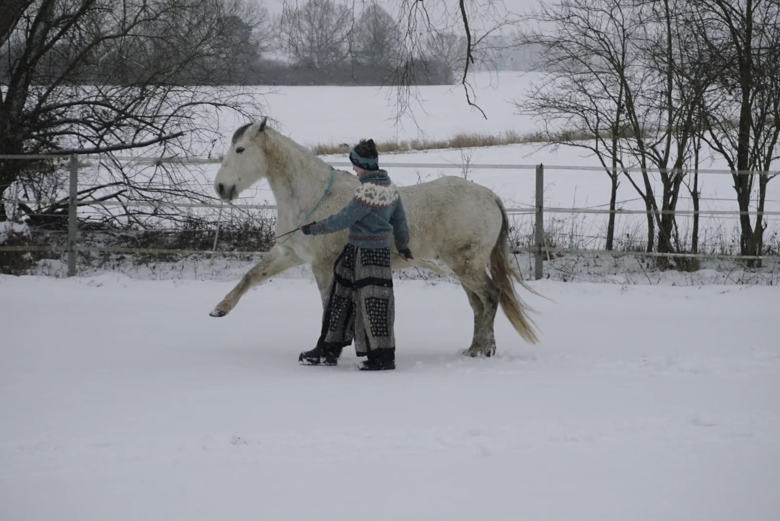 Fiete geht im Schnee neben ihrem Schimmel her und arbeitet mit ihm an der Hand
